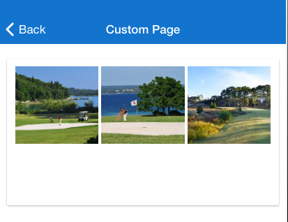 custom_page_app_images